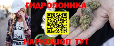 крисы Пенза