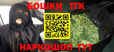 крисы Пенза
