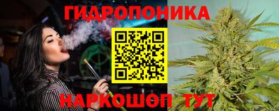 крисы Пенза