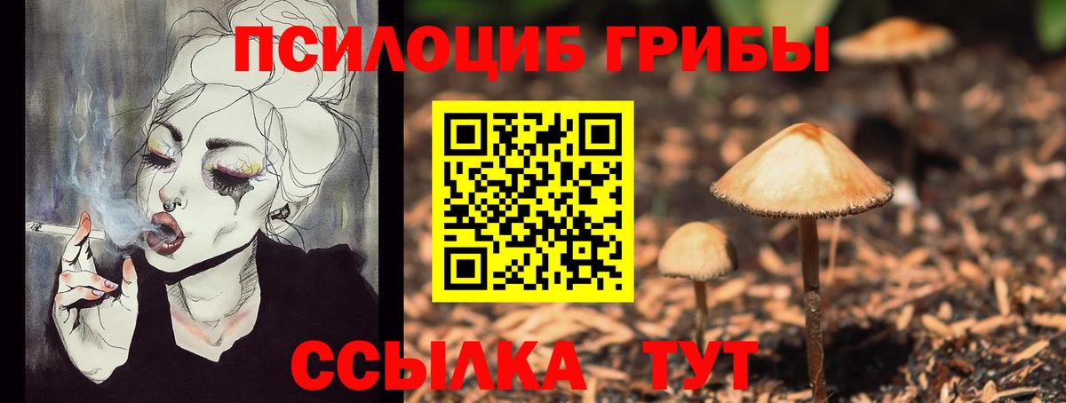 Юрга  Псилоцибиновые грибы GOLDEN TEACHER  Вход с VPN 